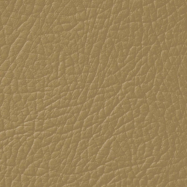 Colore Per Pelle Leather Colourant Cammello Camel203 by Leather Expert