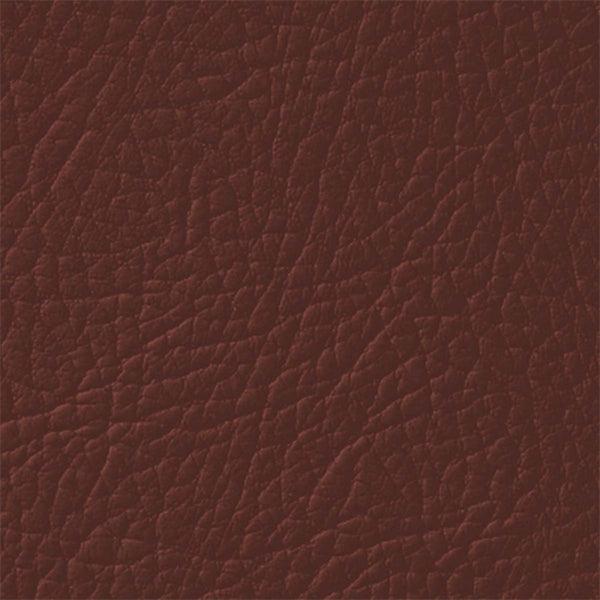 Colore Per Pelle Leather Colourant Marrone Espresso Brown308 by Leather Expert
