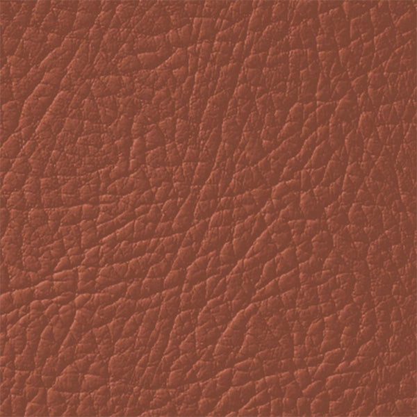 Colore Per Pelle Leather Colourant Marrone Mocha Brown306 by Leather Expert
